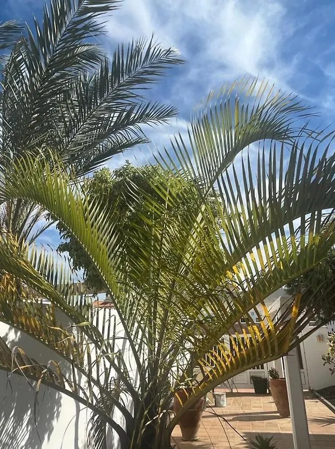 Villa La Hubara Caleta De Fuste