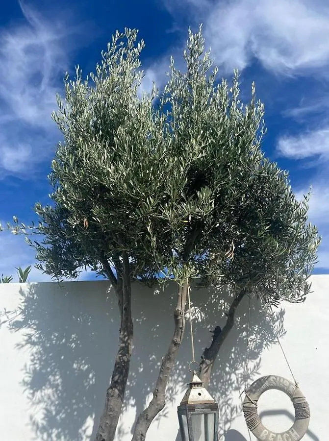Villa La Hubara Caleta De Fuste Spain